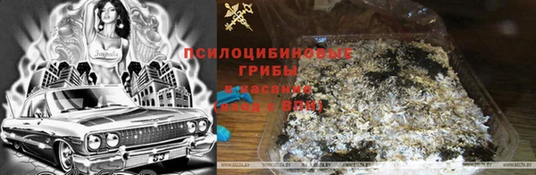 ALPHA PVP Алексеевка