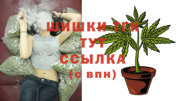 ГАЛЛЮЦИНОГЕННЫЕ ГРИБЫ Аркадак