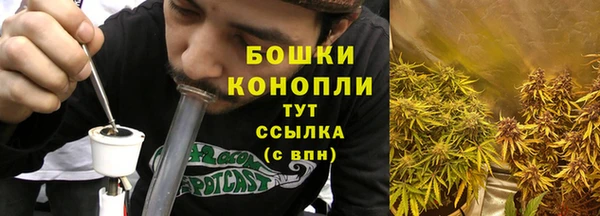 PSILOCYBIN Алексин
